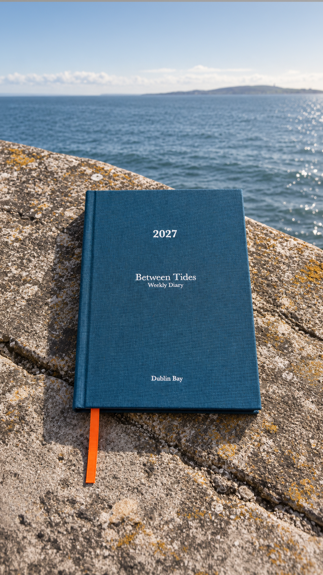 Dublin Bay Between Tides Diary