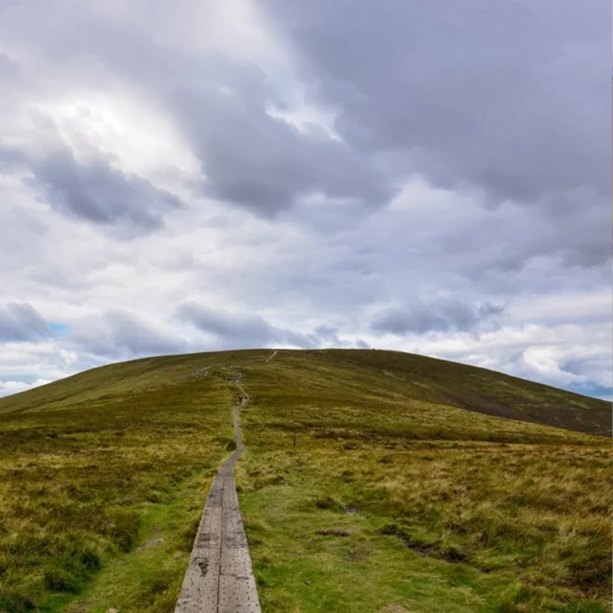 The Landform