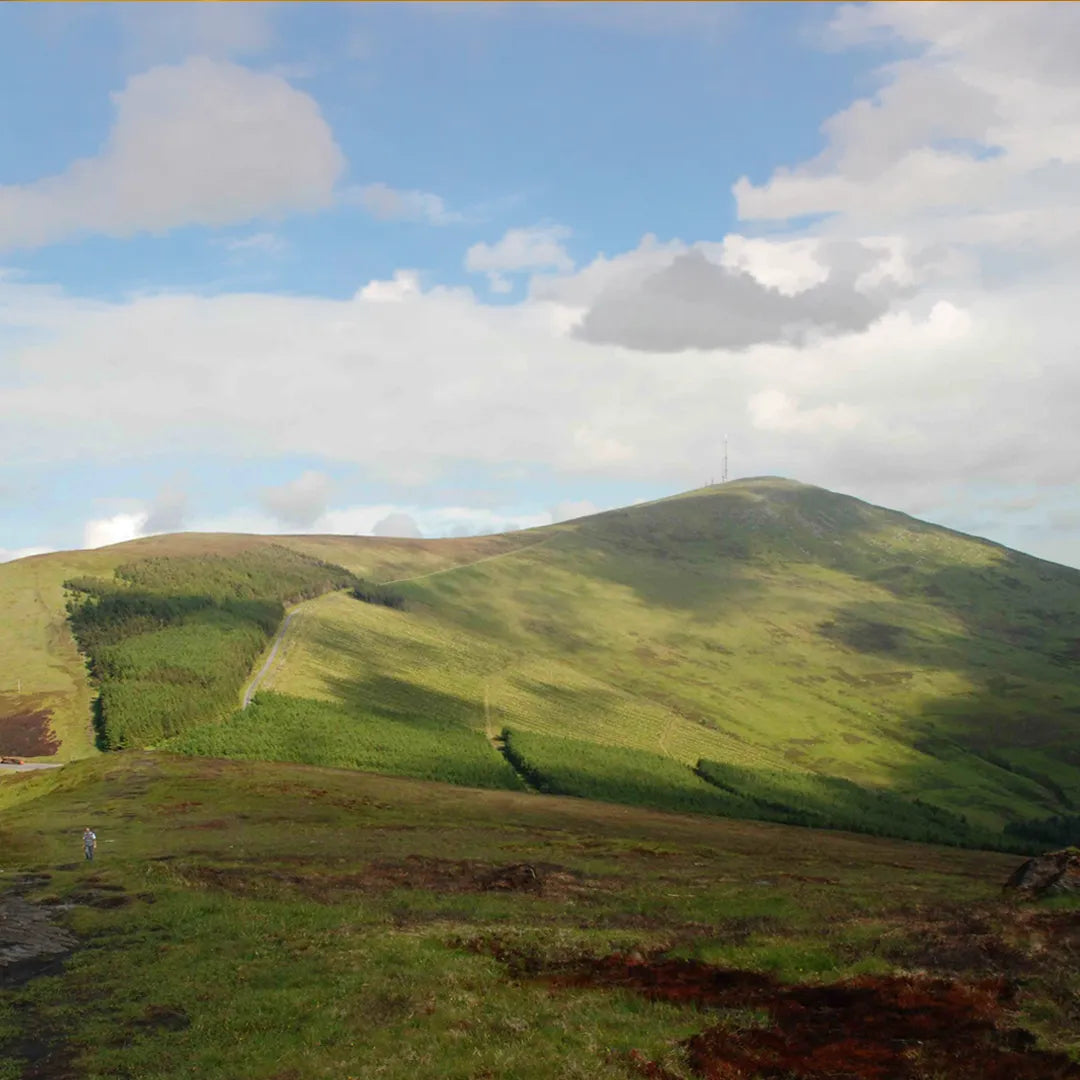 The Landform